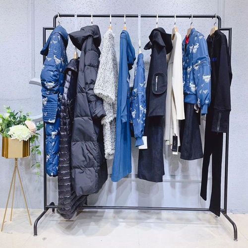 唯爱秋冬装 达衣岩女装新款羽绒服引领北方服装市场潮流